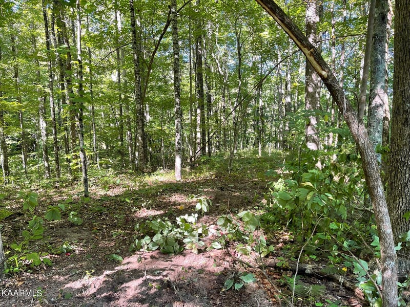 0 Green Pl #4, Monterey, TN 38574