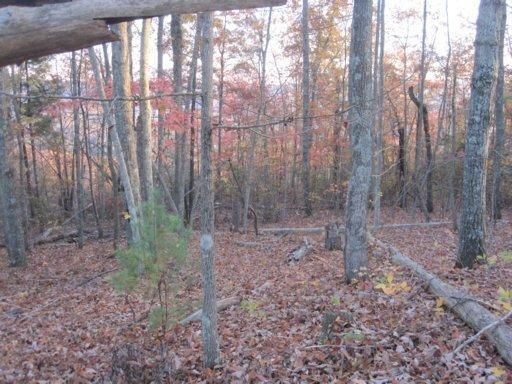 0 Green Ridge Tr, Harriman, TN 37748