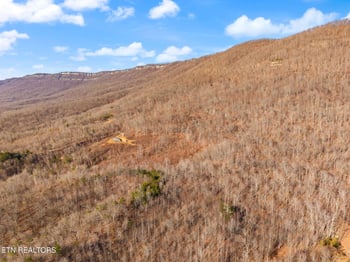 0 Greene Lane E Of, Lafollette, TN 37766