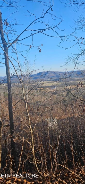 0 Greene Lane E Of, Lafollette, TN 37766