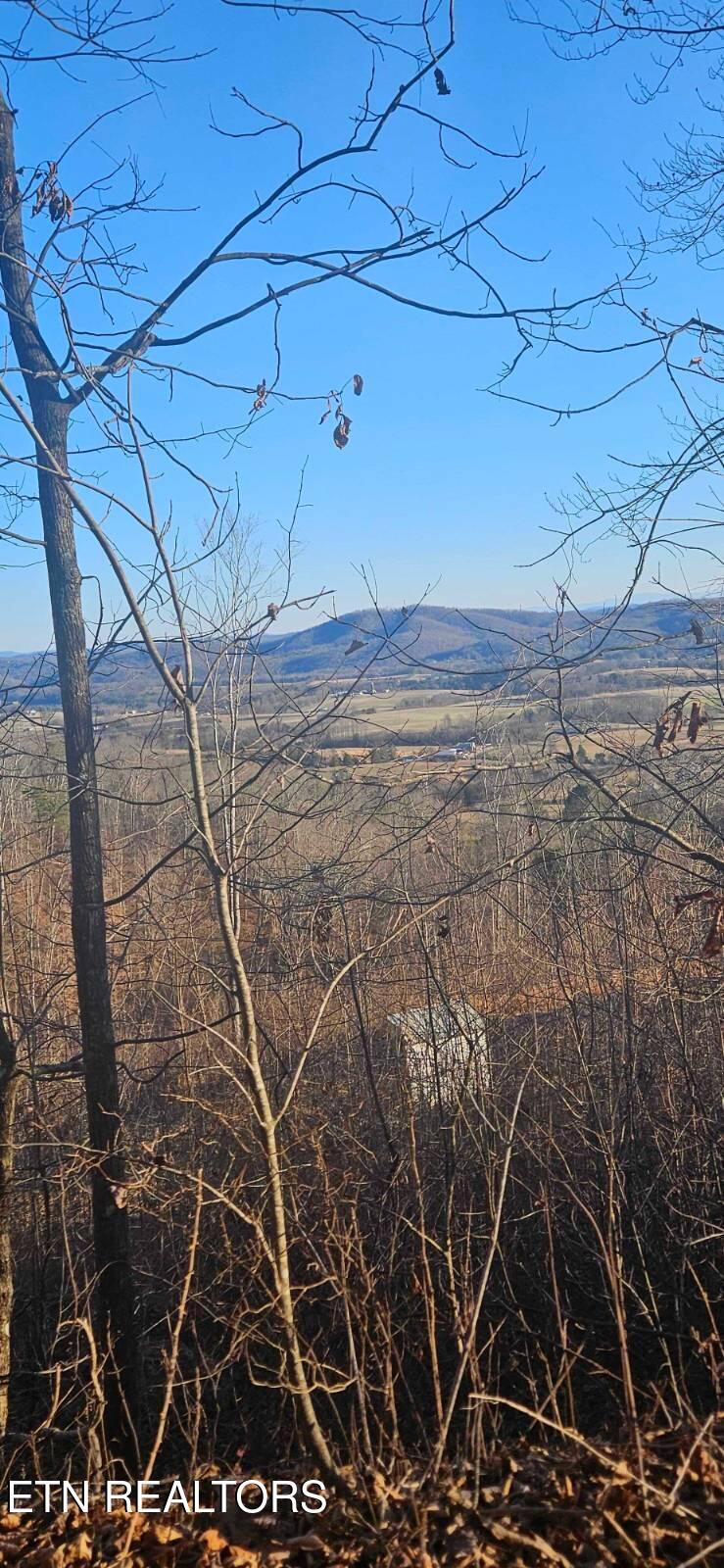 0 Greene Lane E Of, Lafollette, TN 37766