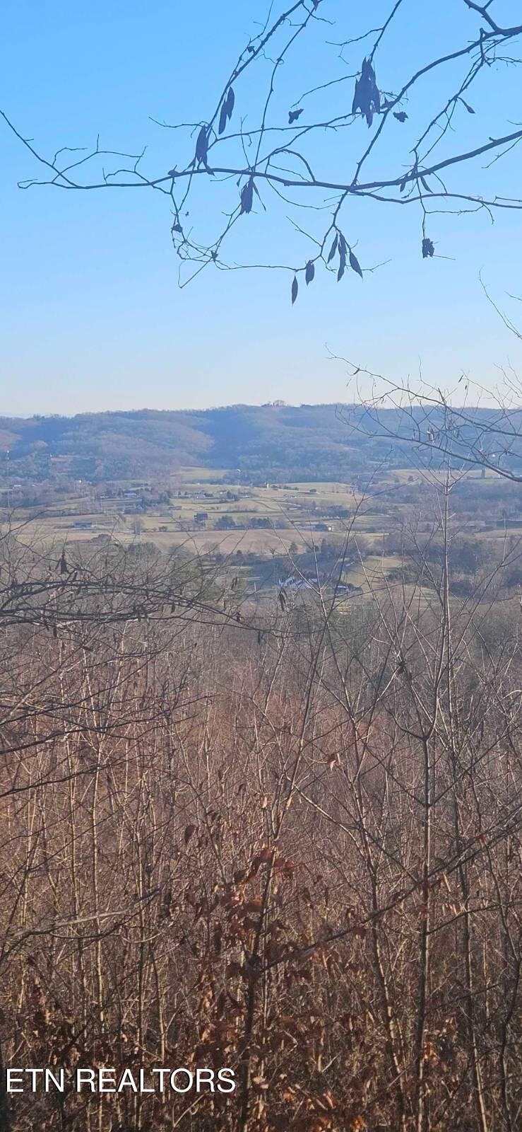 0 Greene Lane E Of, Lafollette, TN 37766