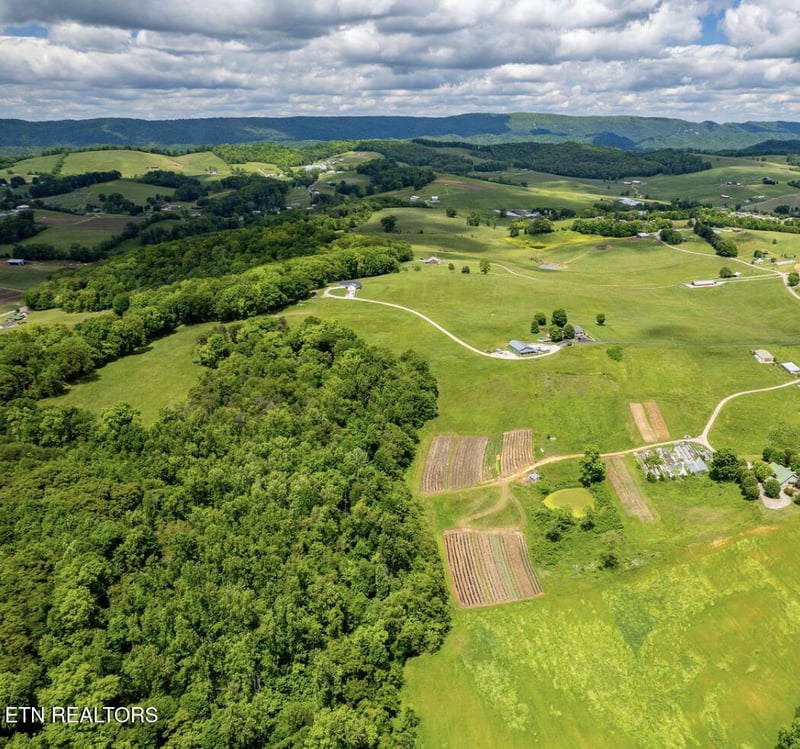 0 Greenlee Rd, Rutledge, TN 37861