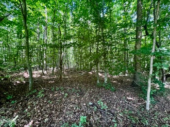 0 Greenwell Rd, Knoxville, TN 37938