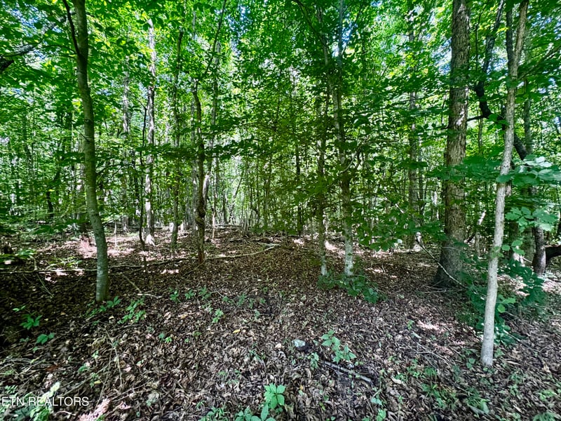 0 Greenwell Rd, Knoxville, TN 37938