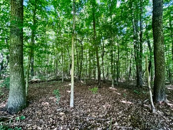 0 Greenwell Rd, Knoxville, TN 37938
