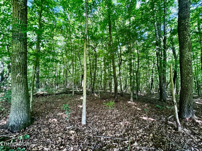 0 Greenwell Rd, Knoxville, TN 37938