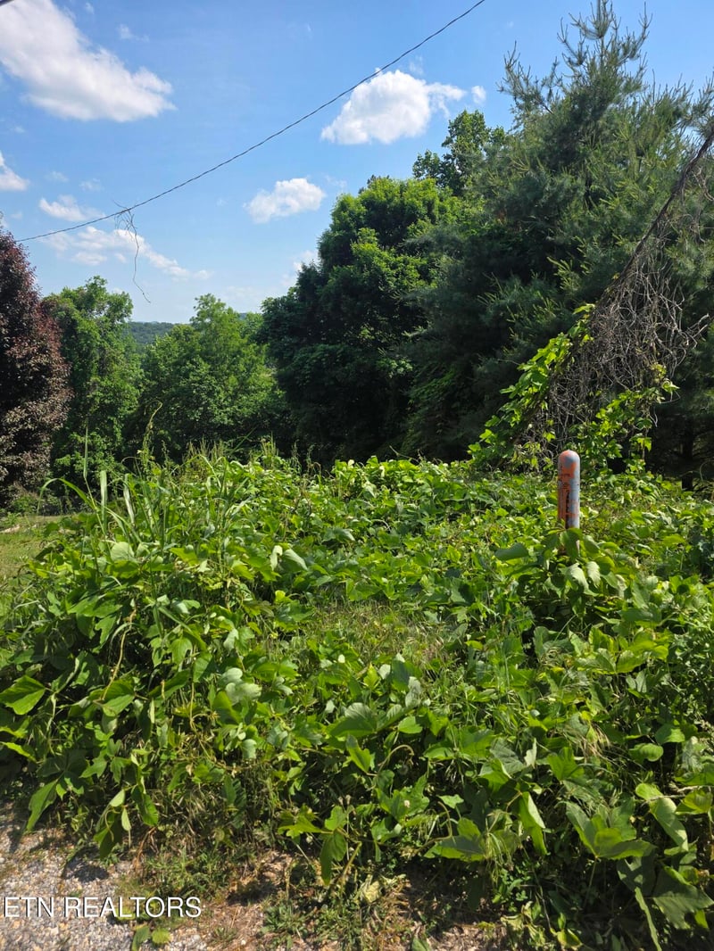 0 Gregory Ln, Maynardville, TN 37807