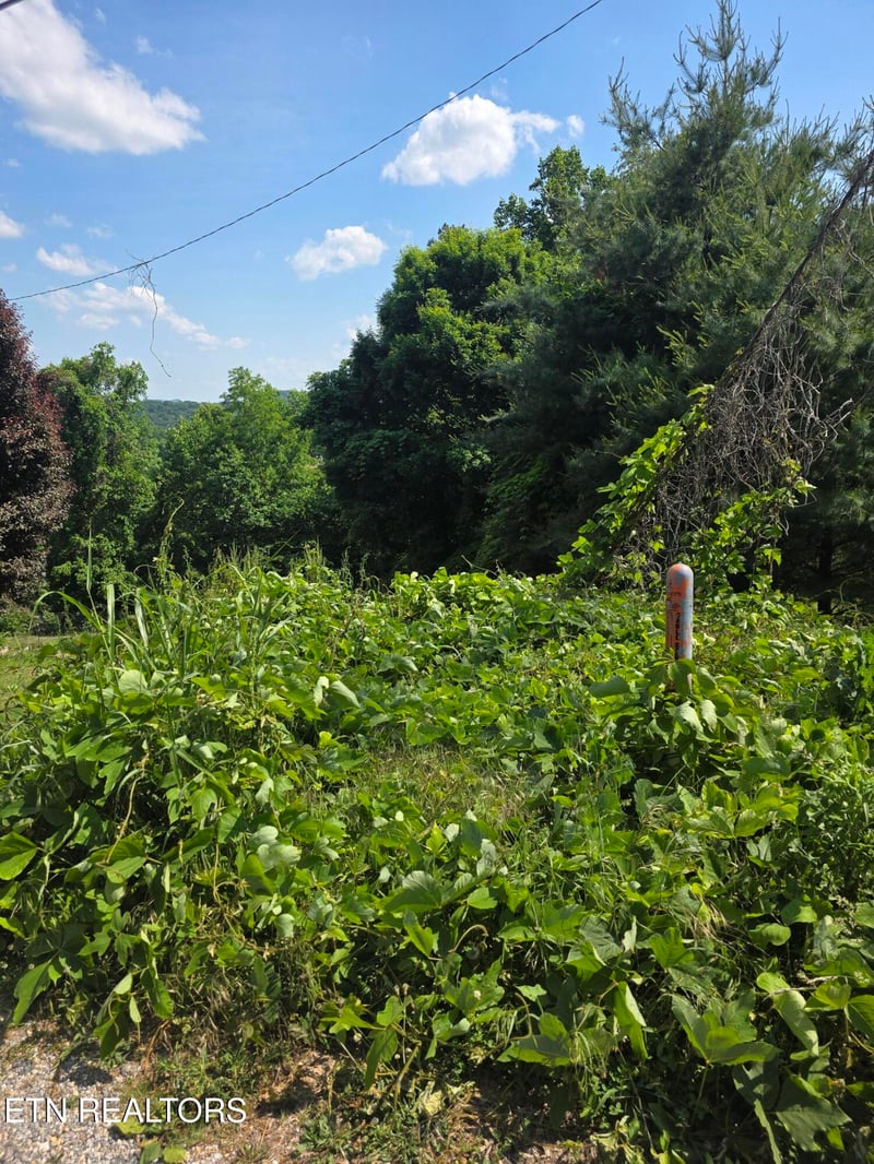 0 Gregory Ln, Maynardville, TN 37807