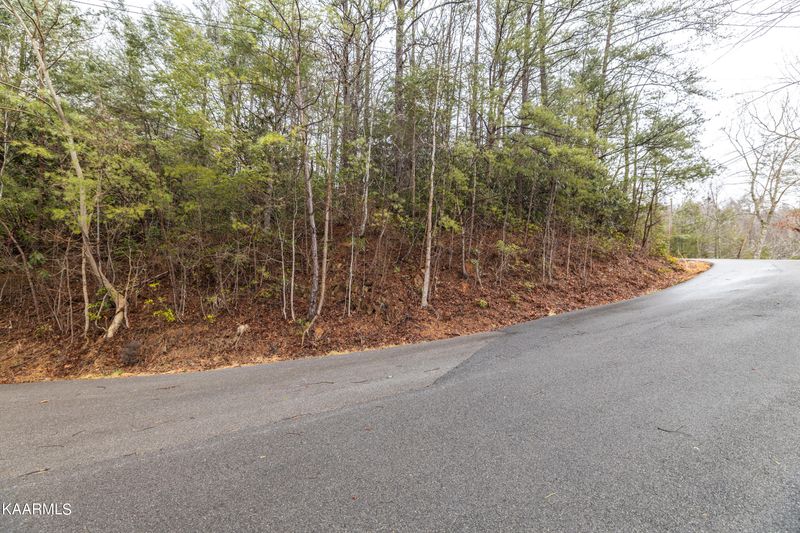0 Grey Fox Trl, Gatlinburg, TN 37738