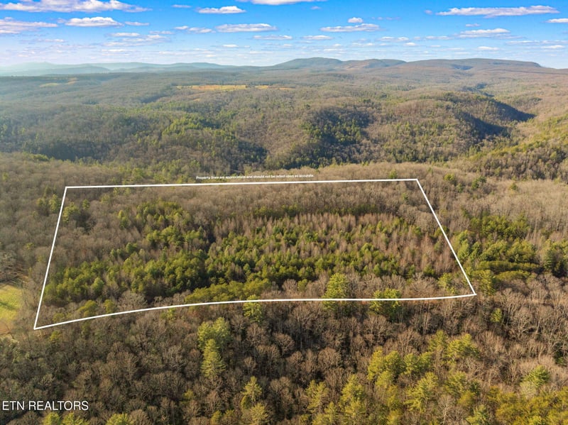 0 Grievers Chapel Rd, Rockwood, TN 37854