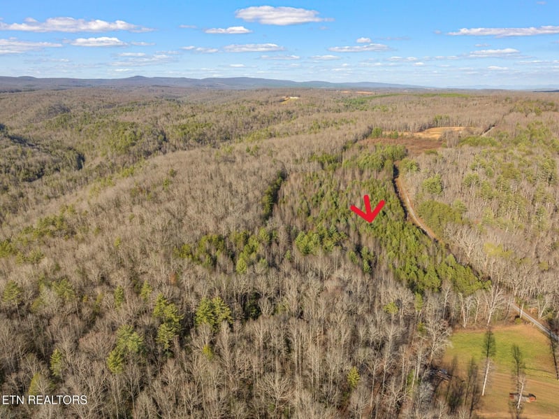 0 Grievers Chapel Rd, Rockwood, TN 37854