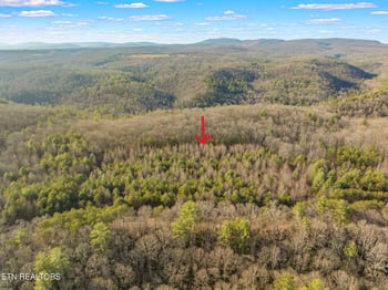 0 Grievers Chapel Rd, Rockwood, TN 37854
