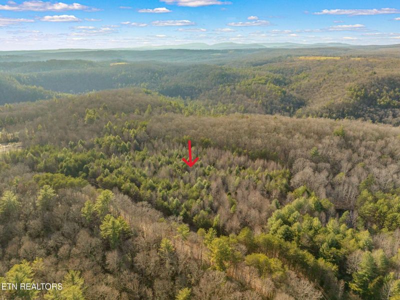 0 Grievers Chapel Rd, Rockwood, TN 37854