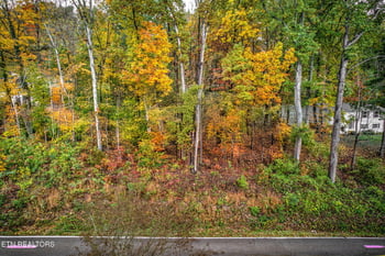 0 Grove Dr, Knoxville, TN 37918