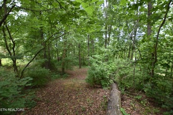 0 Grove Ln, Clinton, TN 37716