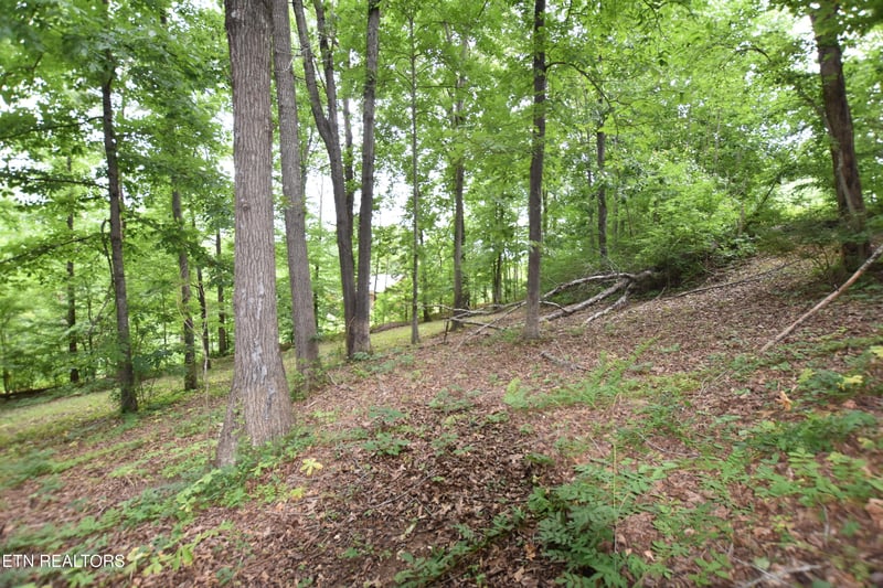 0 Grove Ln, Clinton, TN 37716