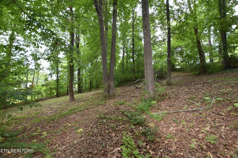 0 Grove Ln, Clinton, TN 37716