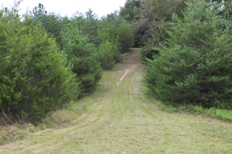 0 Guffy Hollow Road Rd, Sevierville, TN 37876
