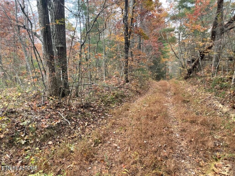 0 Gunter Pl, Sunbright, TN 37872