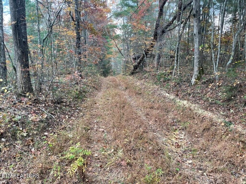 0 Gunter Pl, Sunbright, TN 37872