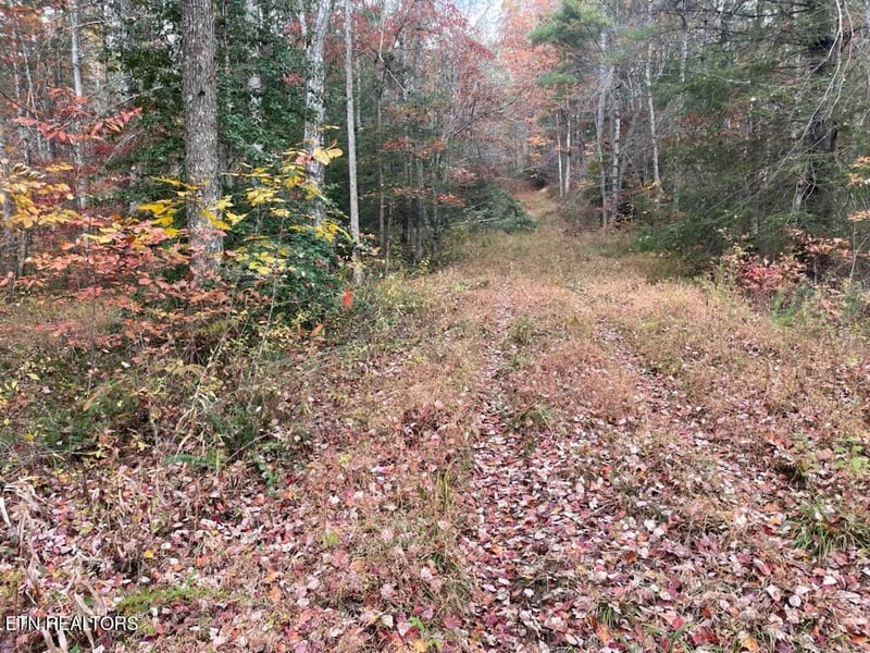 0 Gunter Pl, Sunbright, TN 37872