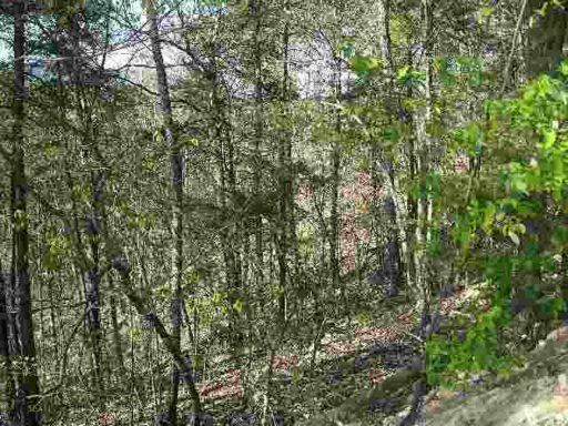 0 Hackberry Dr, Sevierville, TN 37862