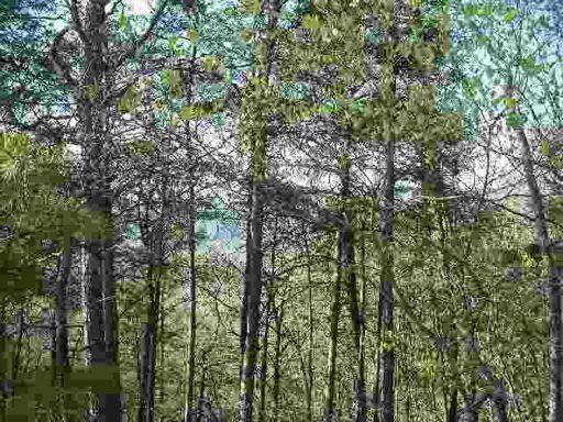 0 Hackberry Dr, Sevierville, TN 37862
