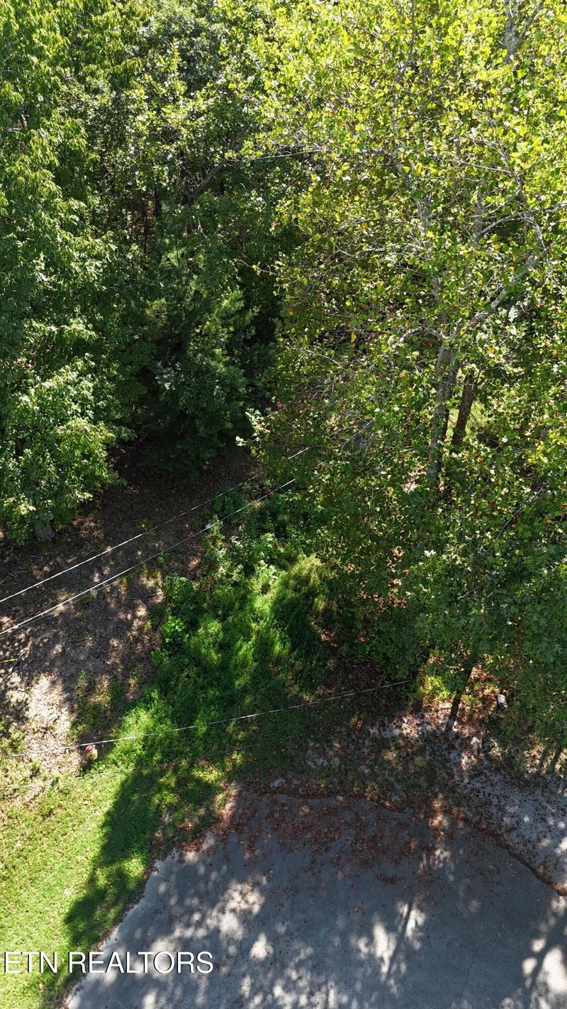 0 Hall St, Rockwood, TN 37854