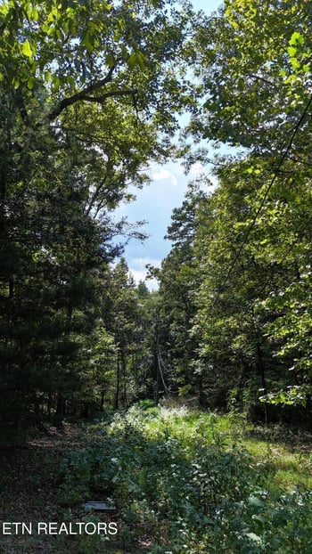 0 Hall St, Rockwood, TN 37854
