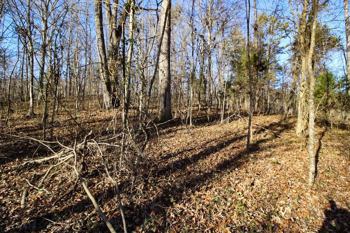 0 Hankins Hollow Rd, Maynardville, TN 37807