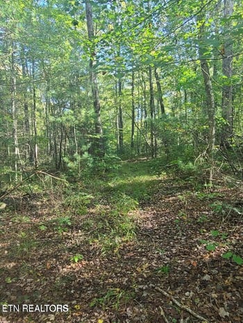 0 Hannah Davidson Rd, Sunbright, TN 37872