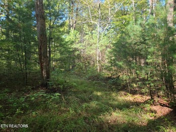 0 Hannah Davidson Rd, Sunbright, TN 37872