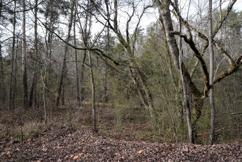 0 Hansard Rd, Maynardville, TN 37807
