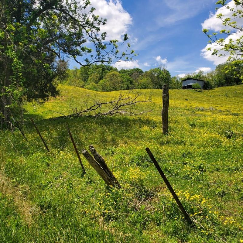 0 Happy Creek Rd, Seymour, TN 37865