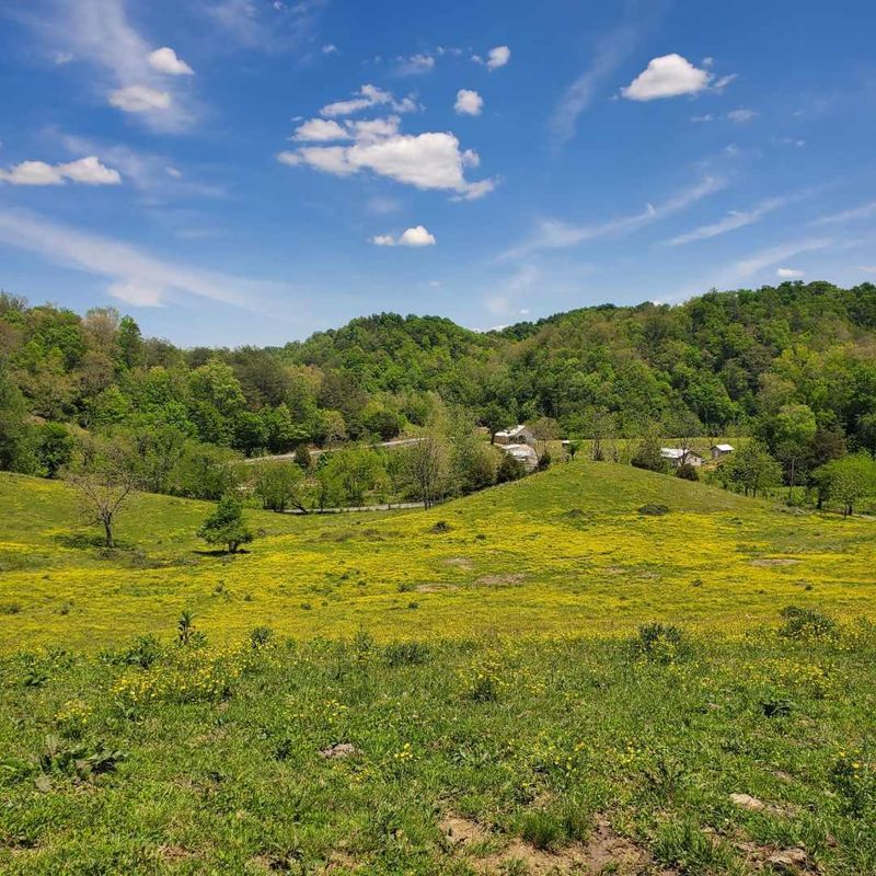0 Happy Creek Rd, Seymour, TN 37865