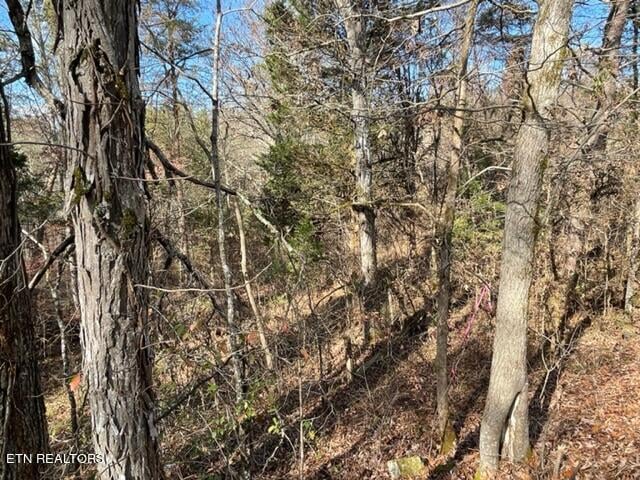 0 Happy Hollow Ln, Sevierville, TN 37876