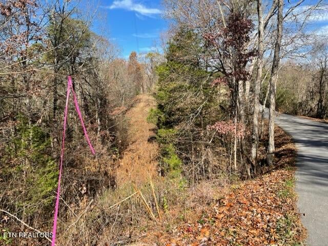 0 Happy Hollow Ln, Sevierville, TN 37876