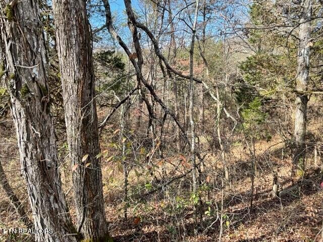 0 Happy Hollow Ln, Sevierville, TN 37876