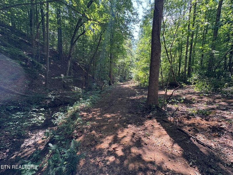0 Happy Hollow Ln, Sevierville, TN 37876