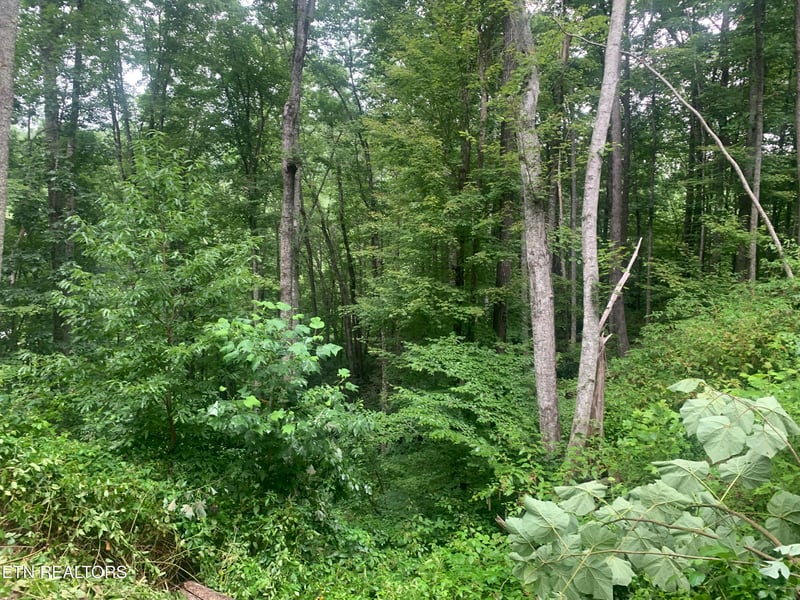 0 Happy Hollow Rd, Sevierville, TN 37862
