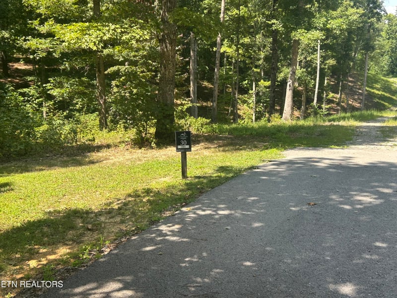 0 Hard Wood Ct #30, Oneida, TN 37841