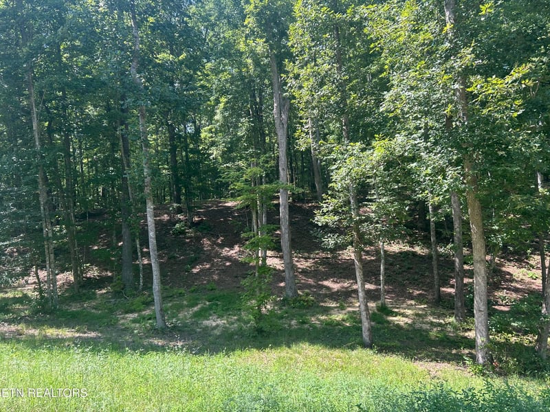 0 Hard Wood Ct #30, Oneida, TN 37841