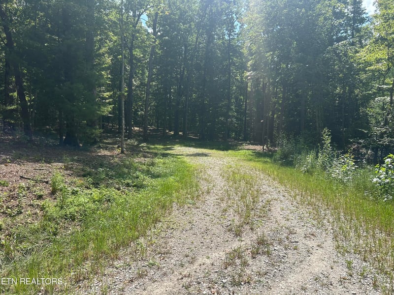0 Hard Wood Ct #30, Oneida, TN 37841