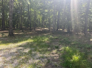 0 Hard Wood Ct #30, Oneida, TN 37841