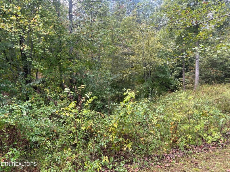 0 Hardin Private Dr Lot 12, Robbins, TN 37852
