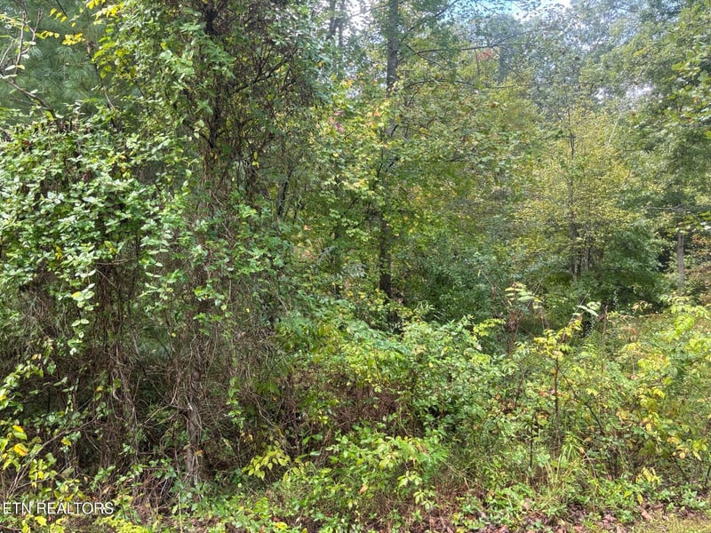 0 Hardin Private Dr Lot 12, Robbins, TN 37852