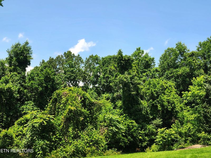 0 Harding Rd, Harriman, TN 37748