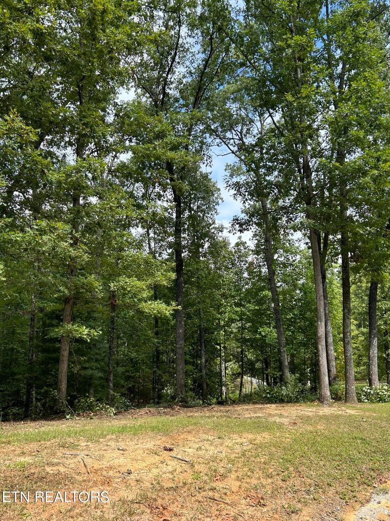 0 Hardwood Ct, Oneida, TN 37841