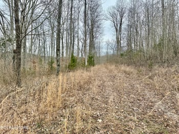 0 Harness Ln, Speedwell, TN 37870
